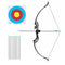 Recurve Bow Set 55lb – Takedown Archery Kit with 12 Arrows, Green