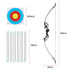 Recurve Bow Set 55lb – Takedown Archery Kit with 12 Arrows, Green