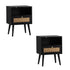 2X Bedside Table Storage Drawer Shelf Rattan