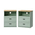 2pc Bedside Table 2 Drawers Shelf Nightstand Natural&Green