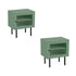 2X Bedside Tables Storage Cabinet Glass Door Green