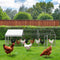Alopet 3x1x1M Chicken Coop with Cover Poultry Cage Pet Hutch