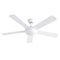 52 Inch Ceiling Fan 5 Blade DC Motor LED Light Remote White