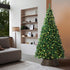 Tinseltown LED Christmas Tree 2.1M 7FT with Rattan Tree Skirt Warm Light Green