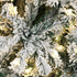 Christmas Tree 2.4M 8FT Snow Flocked Green with LED