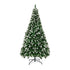 Christmas Tree 2.1M 7FT Snowy Decor Green 1050 Tips
