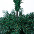 Tinseltown Slim Christmas Tree 1.8M 6FT Green and White