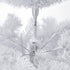 White Christmas Tree 2.4M 8FT 1225Tips