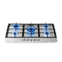 90cm Gas Cooktop 5 Burner – Stainless Steel LPG/NG Triple Crown Silver