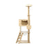 162cm Wooden Cat Tree with Ladder