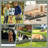 Outdoor Dog Bed Large Water-resistant Washable Foldable Travel Dog Mat Green