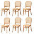6PCS Dining Chairs Wooden Chairs Rattan Natural