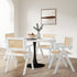 4x Dining Chairs PE Rattan Chair Bamboo Frame White