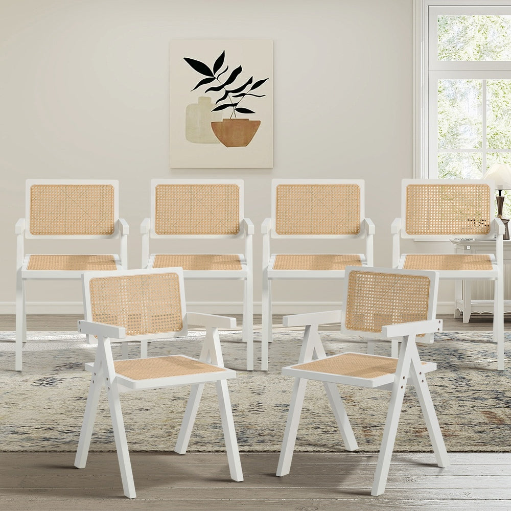 6x Dining Chairs PE Rattan Chair Bamboo Frame White