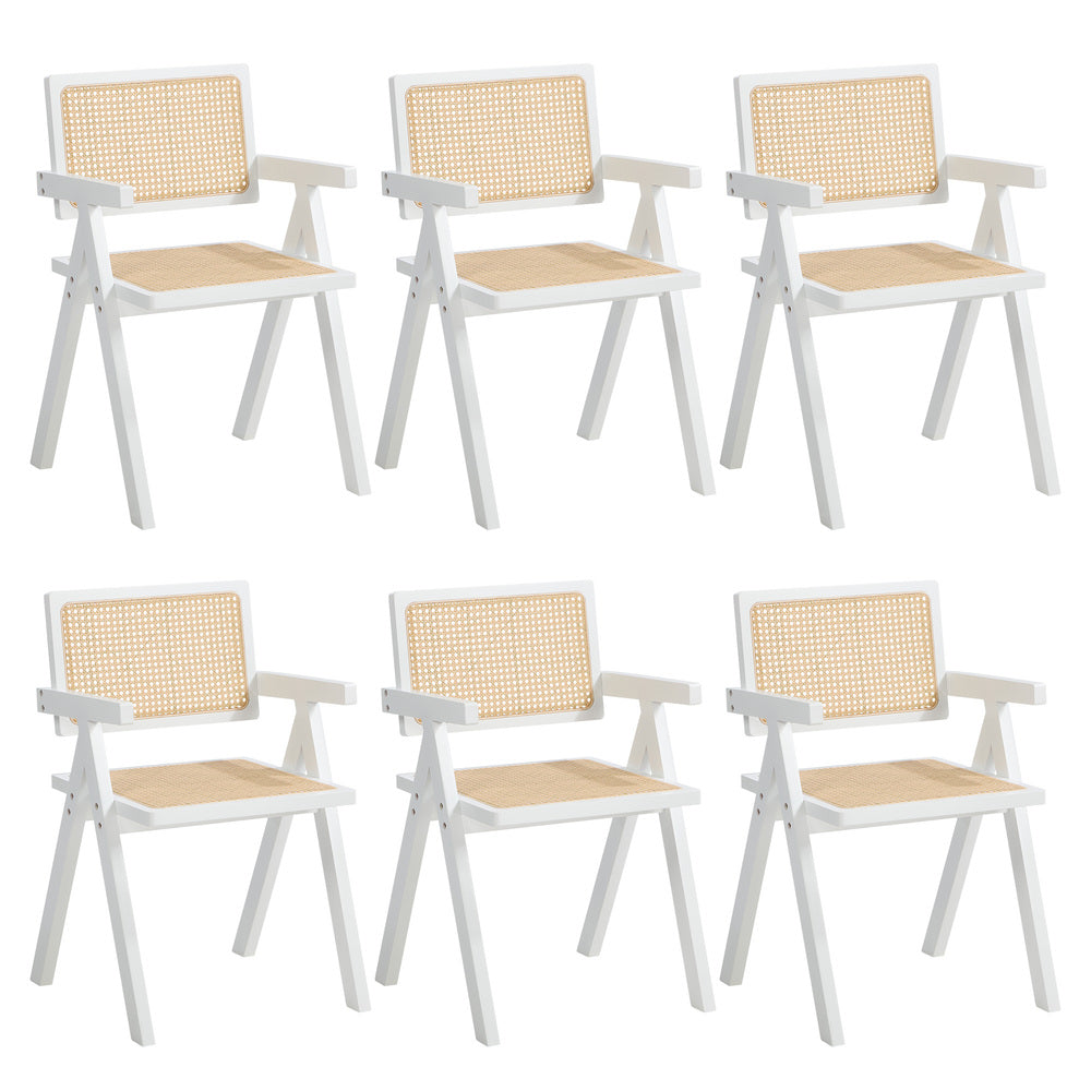 6x Dining Chairs PE Rattan Chair Bamboo Frame White