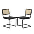 Oikiture 2x Rattan Dining Chair Cesca Replica Cantilever PU Leather