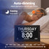10" Digital Day Clock Alarm Calendar Dementia Date Week Desk Clocks Black