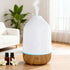 Ultrasonic Aroma Diffuser Aromatherapy 100ml LED Lights Iron Humidifier Forest