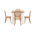 160cm Extendable Dining Table with 4PCS Chairs Rattan Natural