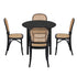 5pcs Dining Table Set with 4 Rattan Dining Chairs, Black, 150kg Capacity