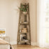 Corner Ladder Shelf 5 Tier Display Stand Bookshelf Natural