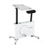 Exercise Bike Magnetic Desk Bike with Tabletop Fitness Home Workout Gym