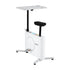 Exercise Bike Magnetic Desk Bike with Tabletop Fitness Home Workout Gym