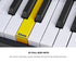 Mazam 61 Key Foldable Electronic Keyboard for Beginner