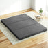 Queen Tri Fold Foam Mattress Grey Foldable Guest Bed Sofa Mattress