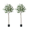 Livsip 2x Artificial Olive Tree Faux Potted Plants 150cm