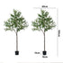 Livsip 2x Artificial Olive Tree Faux Potted Plants 180cm