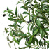 Livsip 2x Artificial Olive Tree Faux Potted Plants 180cm