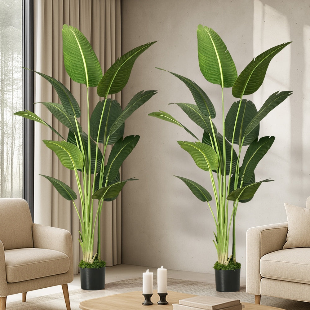 Livsip 2 Pack Artificial Bird of Paradise 180cm Fake Tree Home Decor