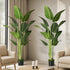 Livsip 2 Pack Artificial Bird of Paradise 180cm Fake Tree Home Decor