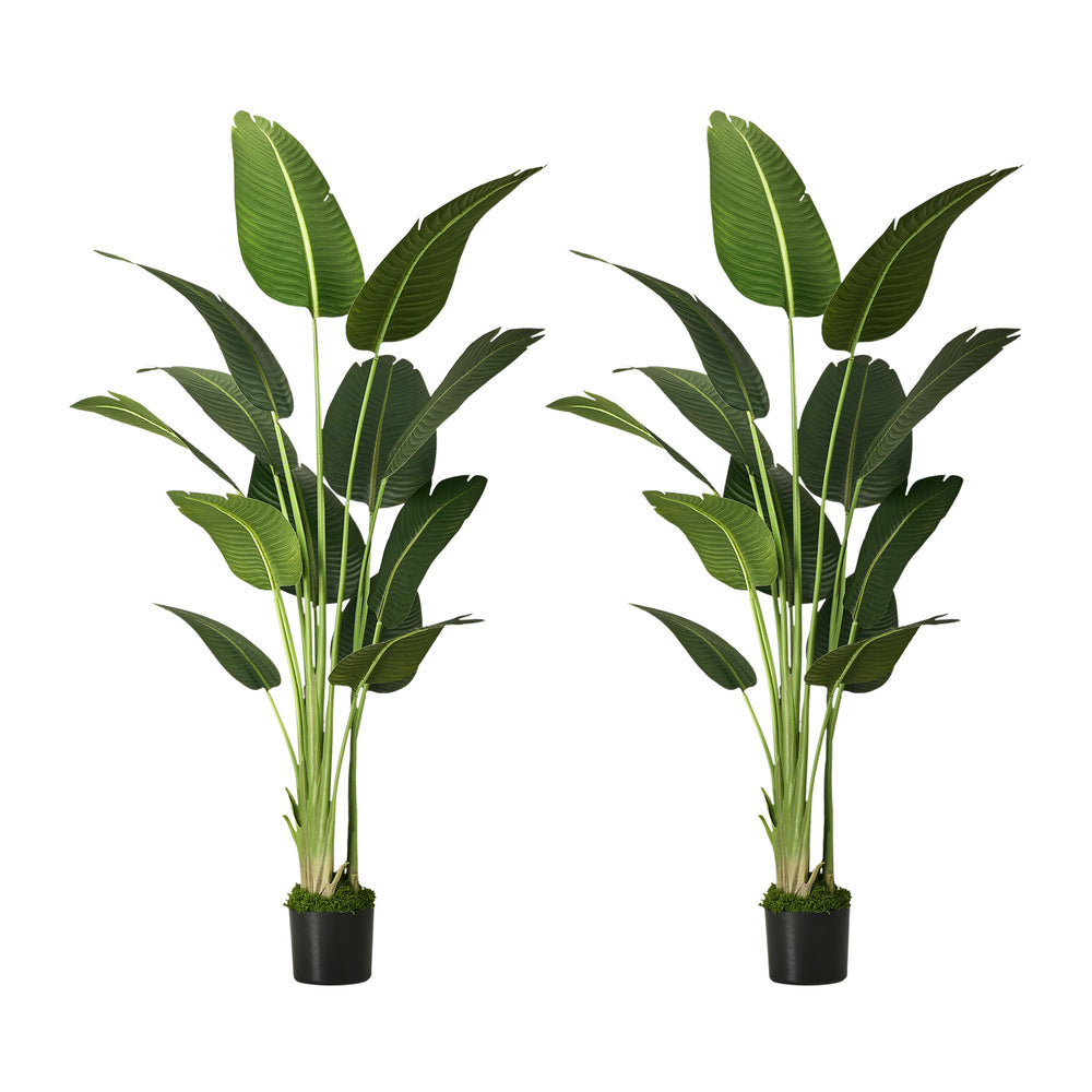 Livsip 2 Pack Artificial Bird of Paradise 180cm Fake Tree Home Decor