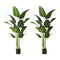 Livsip 2 Pack Artificial Bird of Paradise 180cm Fake Tree Home Decor