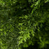 Livsip 2 Pack Artificial Pine Tree 150cm Faux Plant Home Decor