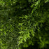 Livsip 150cm Artificial Pine Tree Faux Plant Home Garden Decor