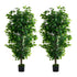 Livsip 2x Ficus Tree 150cm Potted Faux Plants