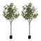 Livsip 2x Eucalyptus Tree 150cm Potted Faux Plants