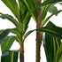 Livsip 2x Dracaena Tree 150cm Potted Faux Plants
