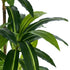 Livsip 2x Dracaena Tree 150cm Potted Faux Plants