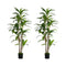 Livsip 2x Dracaena Tree 150cm Potted Faux Plants