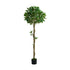 Artificial Bay Laurel Ball Topiary Tree, 150cm Tall, Single Pot