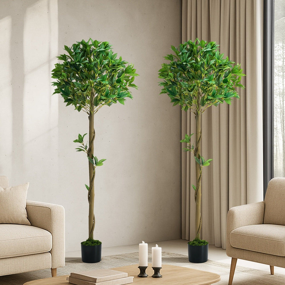 2 Pack Artificial Bay Tree Ball Topiary Faux Plant 150cm