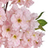 Livsip 2 Pack Artificial Cherry Blossom Tree 180cm Faux Plants