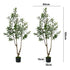 2-Pack Olive Tree 150cm Faux Plant, PE Plastic, Cement Pot Base