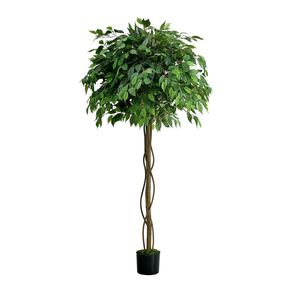 180cm Ficus Tree Faux Plant Home Decor, Fade-Resistant, No Care