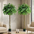 2-Pack Ficus Tree 180cm Faux Plant, PE Plastic, Cement Pot Base
