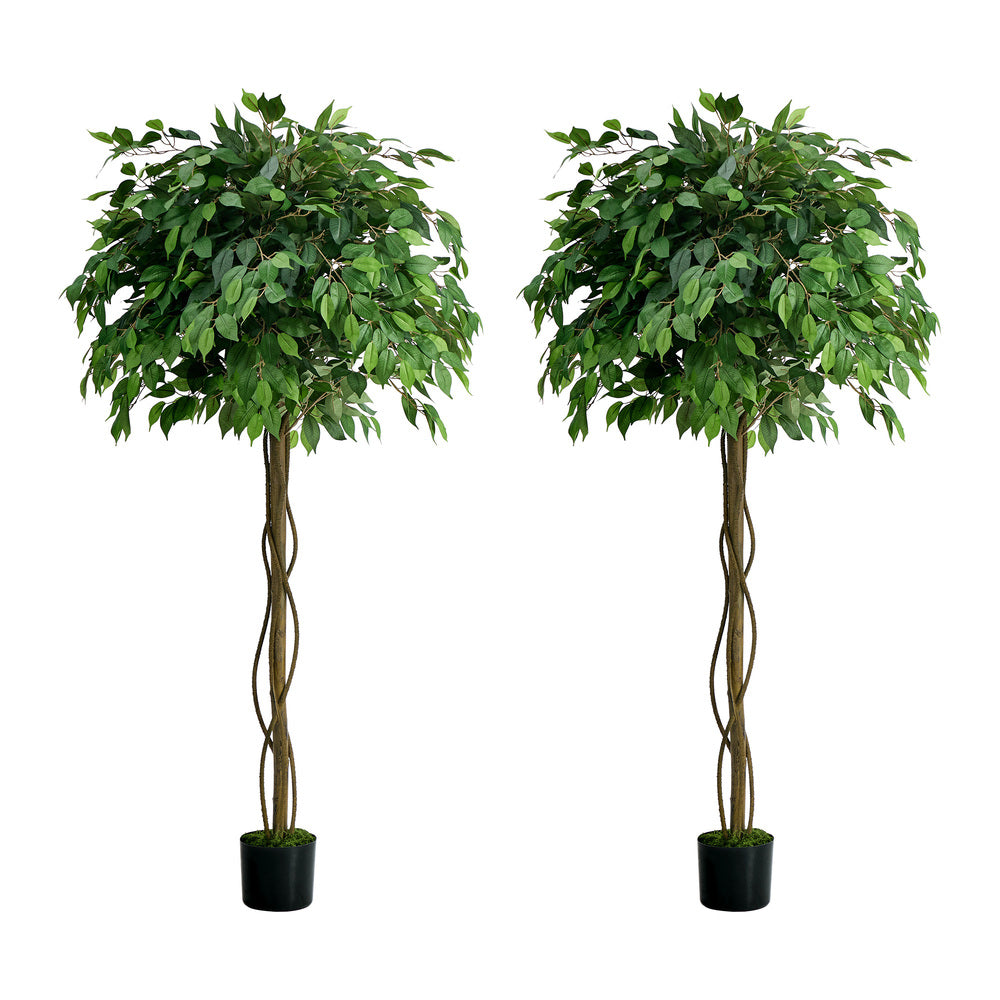 2-Pack Ficus Tree 180cm Faux Plant, PE Plastic, Cement Pot Base